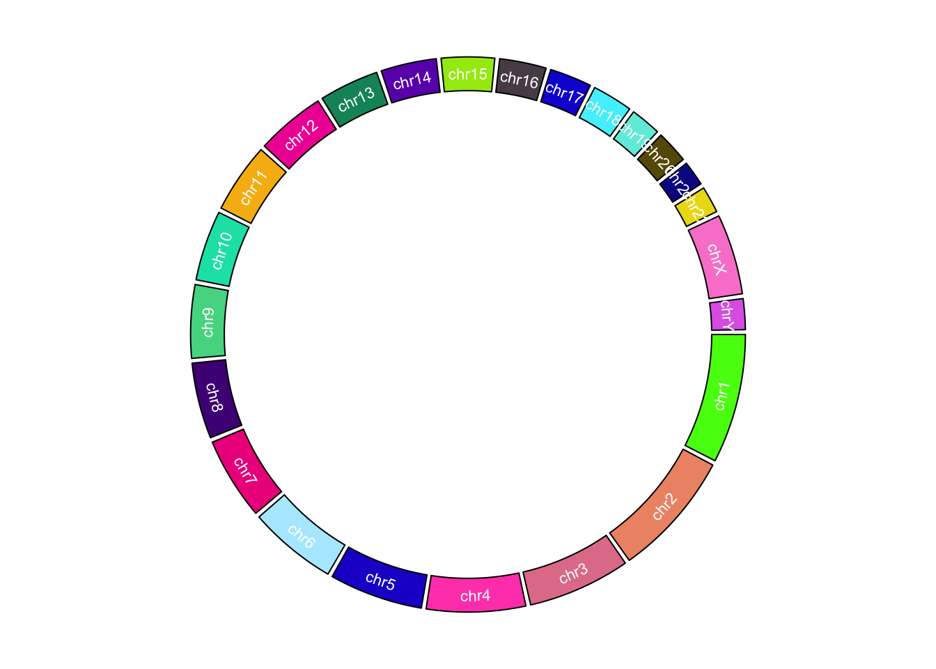 Customize chromosome track.