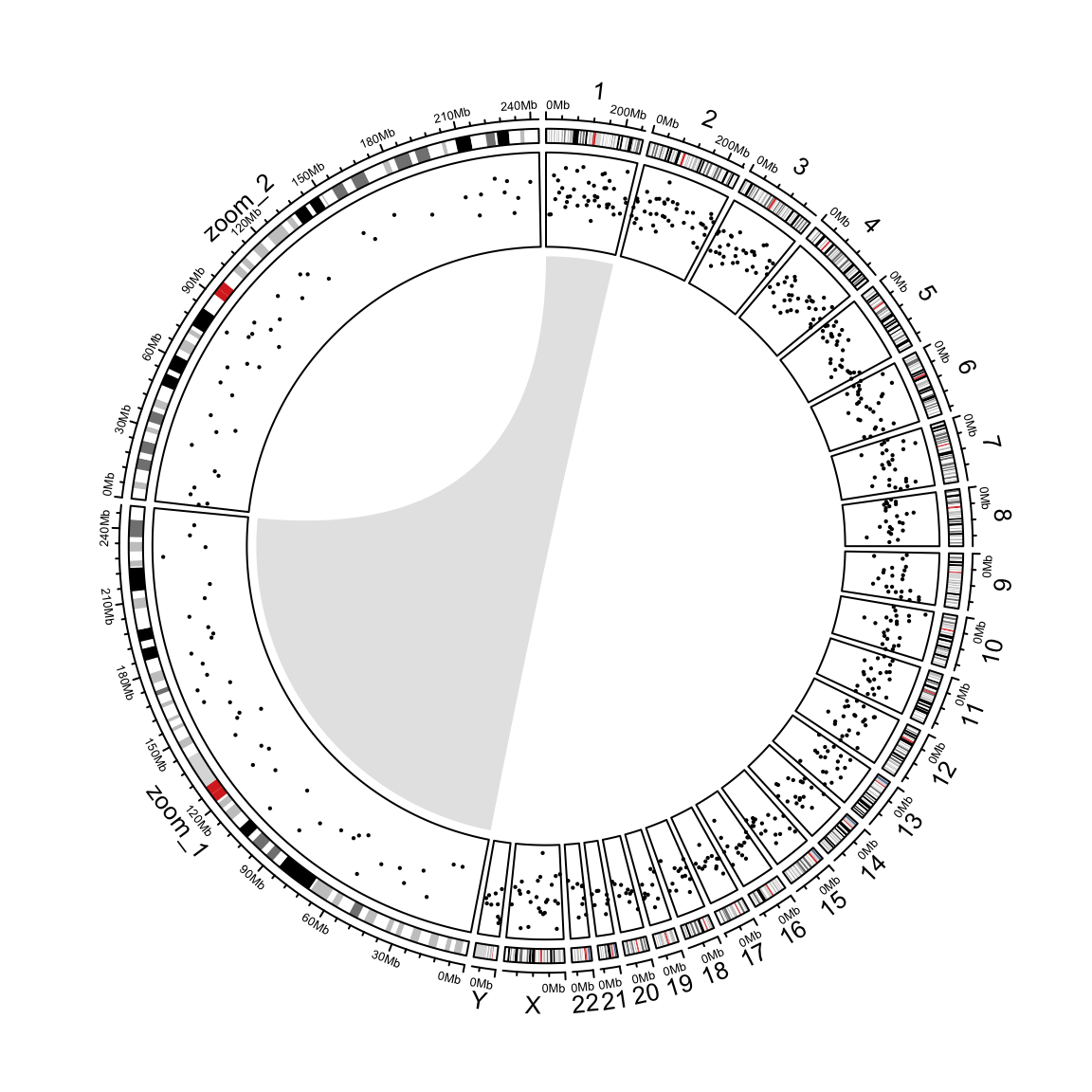 Zoom chromosomes.